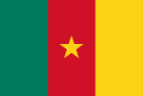 Maillot Cameroun Domicile 2026/2027