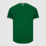 Maillot Ireland Domicile 26/27 Homme