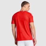 Maillot Benfica Domicile 26/27 Homme