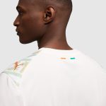 Maillot Ivory Coast Extérieur 26/27 Homme