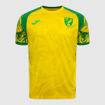 Maillot Norwich City Domicile 26/27 Homme