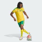 Maillot South Africa Domicile Édition Joueur 25/26