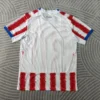 Maillot Paraguay Domicile 2026/2027 — dos Maillot Paraguay Domicile 2026/2027 — dos