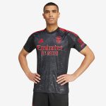 Maillot Benfica Extérieur 24/25 Homme