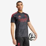Maillot Benfica Extérieur 24/25 Homme
